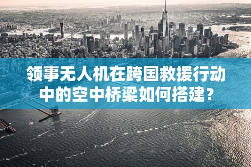 领事无人机在跨国救援行动中的空中桥梁如何搭建？