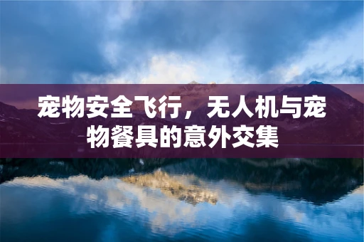 宠物安全飞行，无人机与宠物餐具的意外交集