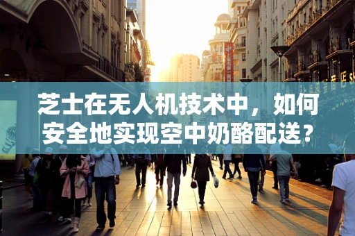 芝士在无人机技术中，如何安全地实现空中奶酪配送？