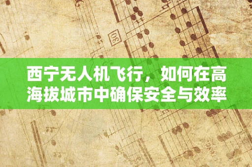 西宁无人机飞行，如何在高海拔城市中确保安全与效率的平衡？