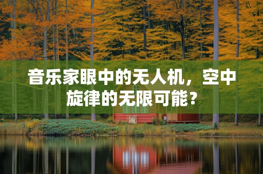 音乐家眼中的无人机，空中旋律的无限可能？
