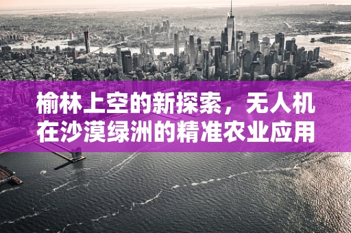 榆林上空的新探索，无人机在沙漠绿洲的精准农业应用之谜