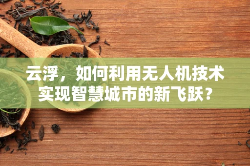 云浮，如何利用无人机技术实现智慧城市的新飞跃？