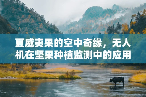 夏威夷果的空中奇缘，无人机在坚果种植监测中的应用？
