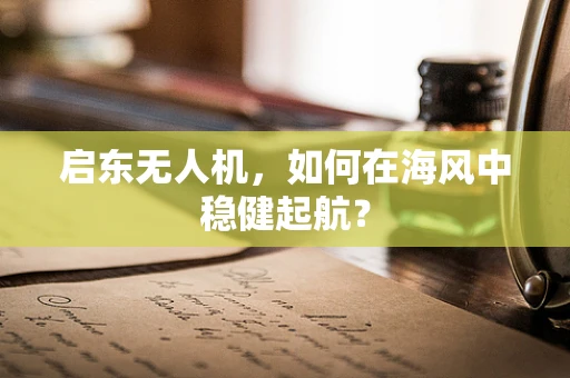 启东无人机，如何在海风中稳健起航？