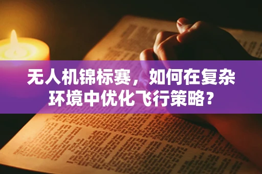 无人机锦标赛，如何在复杂环境中优化飞行策略？