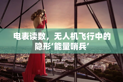 电表读数，无人机飞行中的隐形‘能量哨兵’