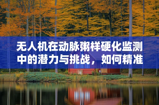 无人机在动脉粥样硬化监测中的潜力与挑战，如何精准捕捉血管壁微细变化？