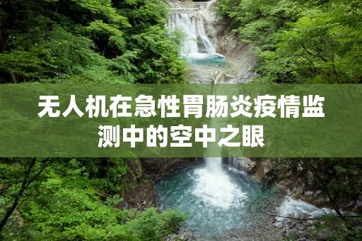 无人机在急性胃肠炎疫情监测中的空中之眼