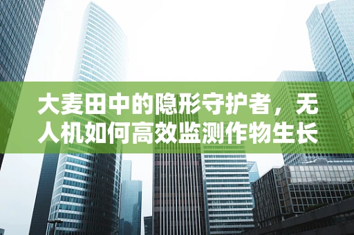 大麦田中的隐形守护者，无人机如何高效监测作物生长？