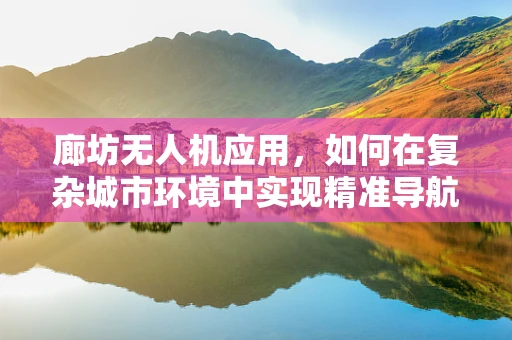 廊坊无人机应用，如何在复杂城市环境中实现精准导航？