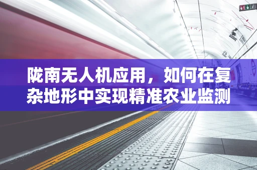 陇南无人机应用，如何在复杂地形中实现精准农业监测？