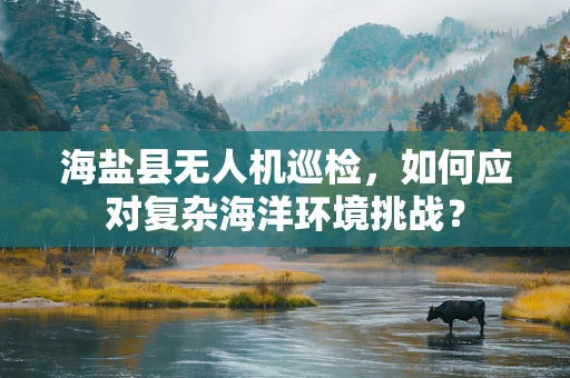 海盐县无人机巡检，如何应对复杂海洋环境挑战？