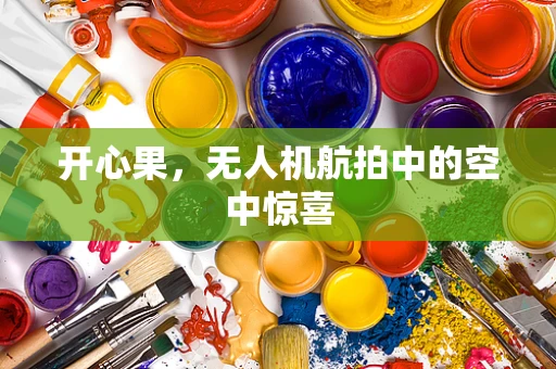 开心果，无人机航拍中的空中惊喜