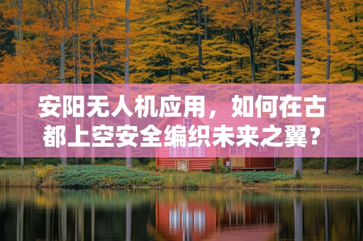 安阳无人机应用，如何在古都上空安全编织未来之翼？