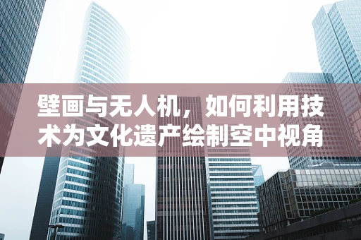 壁画与无人机，如何利用技术为文化遗产绘制空中视角的活图？