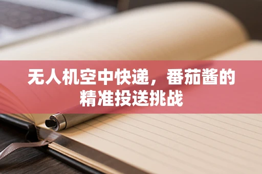 无人机空中快递，番茄酱的精准投送挑战