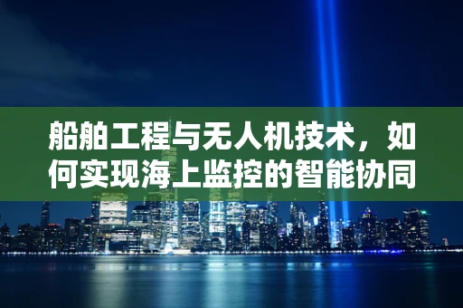 船舶工程与无人机技术，如何实现海上监控的智能协同？