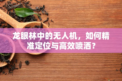 龙眼林中的无人机，如何精准定位与高效喷洒？