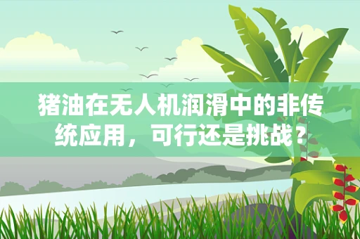 猪油在无人机润滑中的非传统应用，可行还是挑战？