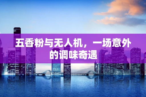 五香粉与无人机，一场意外的调味奇遇