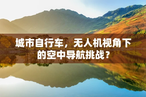 城市自行车，无人机视角下的空中导航挑战？