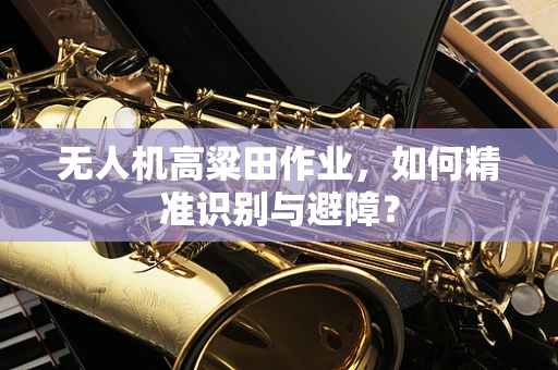 无人机高粱田作业，如何精准识别与避障？