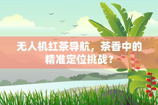 无人机红茶导航，茶香中的精准定位挑战？