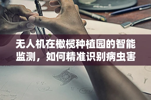 无人机在橄榄种植园的智能监测，如何精准识别病虫害？