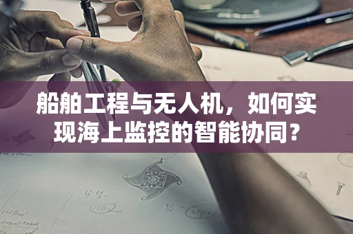 船舶工程与无人机，如何实现海上监控的智能协同？