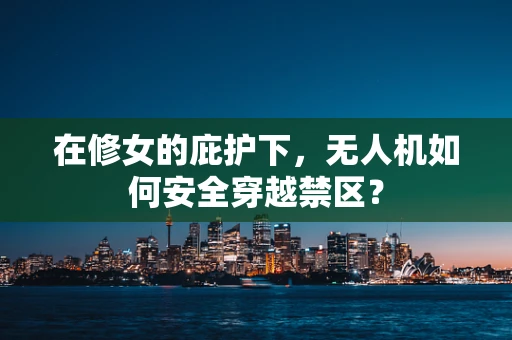 在修女的庇护下，无人机如何安全穿越禁区？