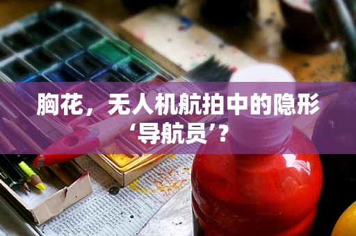 胸花，无人机航拍中的隐形‘导航员’？