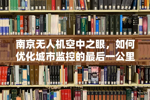 南京无人机空中之眼，如何优化城市监控的最后一公里？