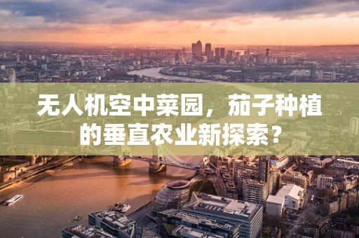 无人机空中菜园，茄子种植的垂直农业新探索？