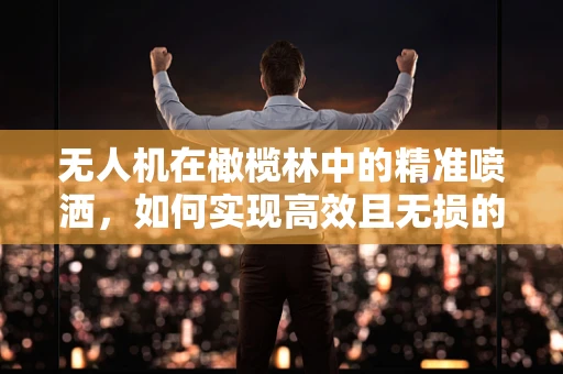 无人机在橄榄林中的精准喷洒，如何实现高效且无损的作业？