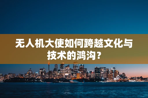 无人机大使如何跨越文化与技术的鸿沟？