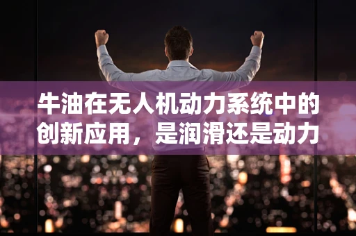牛油在无人机动力系统中的创新应用，是润滑还是动力？