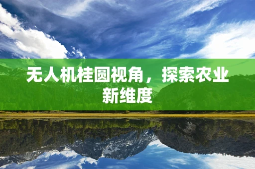无人机桂圆视角，探索农业新维度