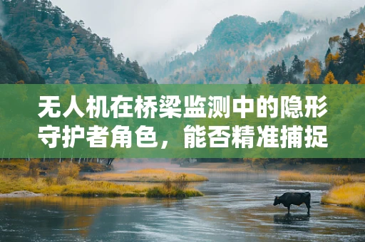 无人机在桥梁监测中的隐形守护者角色，能否精准捕捉微小裂缝？