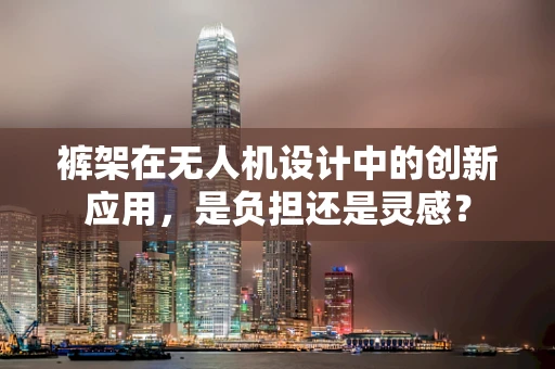 裤架在无人机设计中的创新应用，是负担还是灵感？