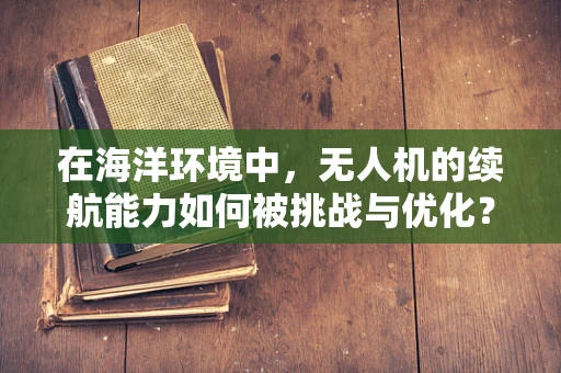 在海洋环境中，无人机的续航能力如何被挑战与优化？