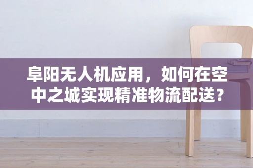 阜阳无人机应用，如何在空中之城实现精准物流配送？