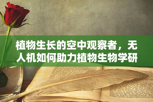 植物生长的空中观察者，无人机如何助力植物生物学研究？