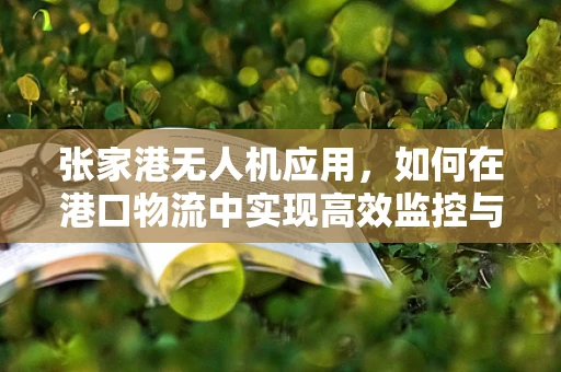 张家港无人机应用，如何在港口物流中实现高效监控与精准配送？