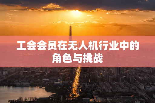 工会会员在无人机行业中的角色与挑战