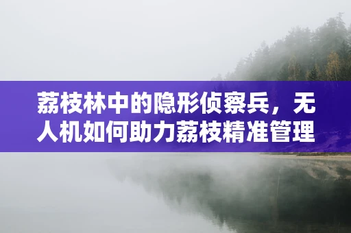 荔枝林中的隐形侦察兵，无人机如何助力荔枝精准管理？