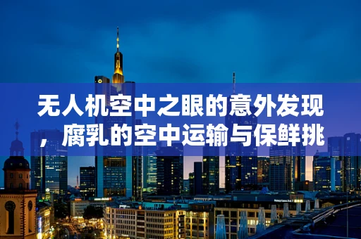 无人机空中之眼的意外发现，腐乳的空中运输与保鲜挑战