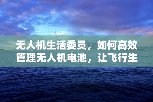 无人机生活委员，如何高效管理无人机电池，让飞行生活更绿色？