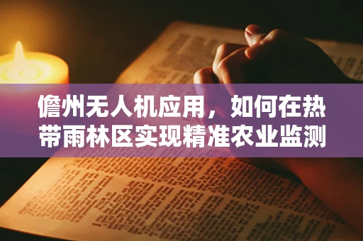儋州无人机应用，如何在热带雨林区实现精准农业监测？