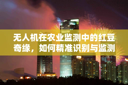 无人机在农业监测中的红豆奇缘，如何精准识别与监测？